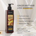 KORMESIC全英文生姜洗发水Shampoo Conditioner跨境外贸厂家批发