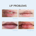 tk代发跨境新品LAIKOU牛奶保湿唇膜6g滋润保湿lip mask全英文唇贴