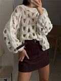Solid Hollow-Out Crochet Knit Long Sleeve Beach Cover-Up Sweater