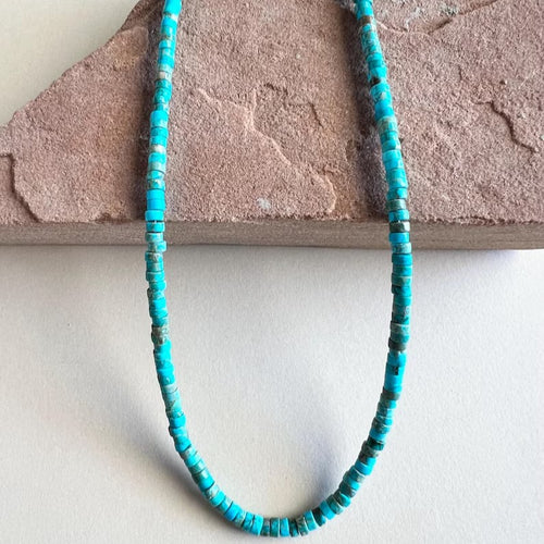New Import Fashionable Choker Niche Design Detail Simple Clavicle Chain Western Trendy Niche Versatile Necklace Women