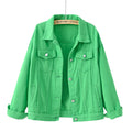 Women's Fall Korean Casual Plus Size Long Sleeve Loose Cropped Jacket + Top 2026 - White