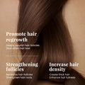 跨境外贸KORMESIC洗护套装Hair care kit深层洁净护理厂家批发