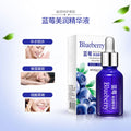 泊泉雅蓝莓美肌精华液补水保湿控油收缩毛孔滋润提亮肤色护肤批发