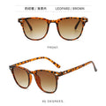 2024 Bestseller Beige Ding Full-Frame Retro Stud Versatile Sunglasses Overseas Fashionable Trendy Slender Trendy Sunglasses