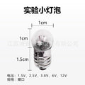 Small light bulb 1.5V2.5V3.8V6V12V lamp holder and electric bulb scientific experiment electrical experiment flashlight bulb
